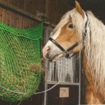 Neutnetz tasche