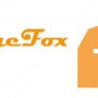 orange fox
